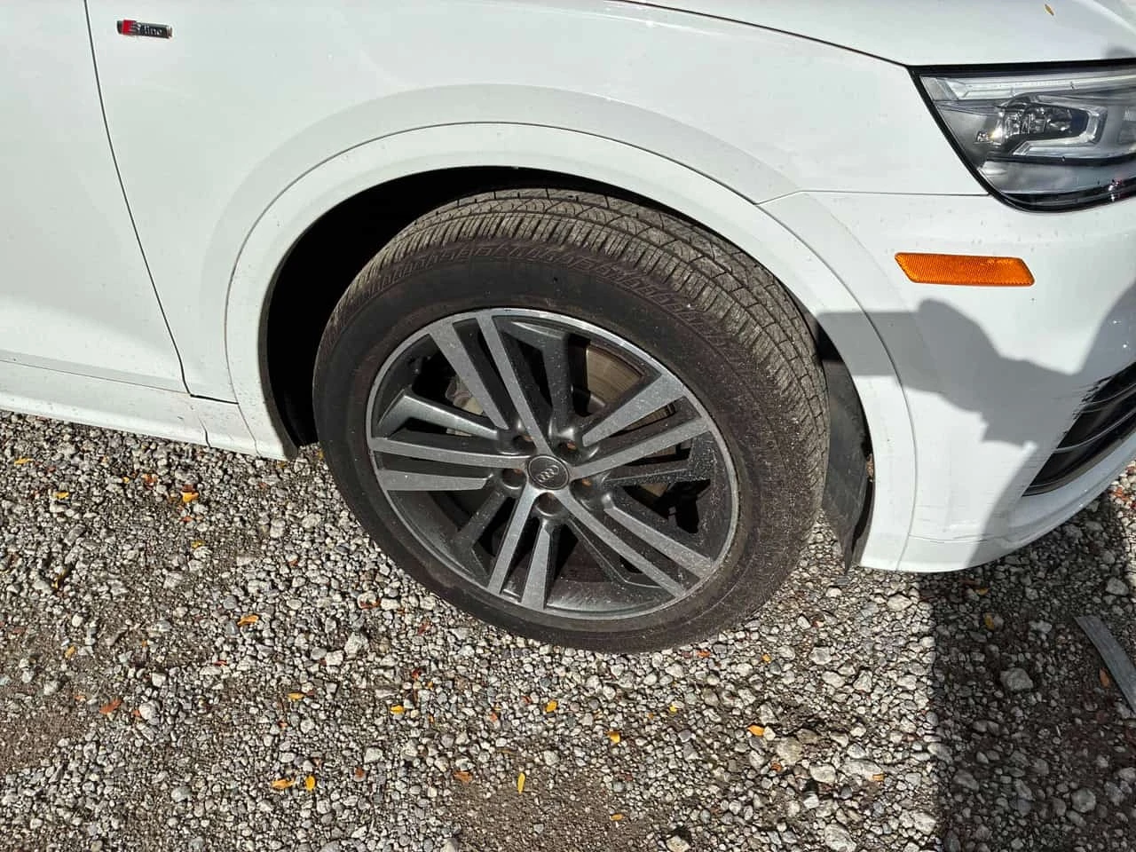 Audi Q5 * Progressiv * CARFAX * ��� ������������ ������ | Mobile.bg � ����������� 7