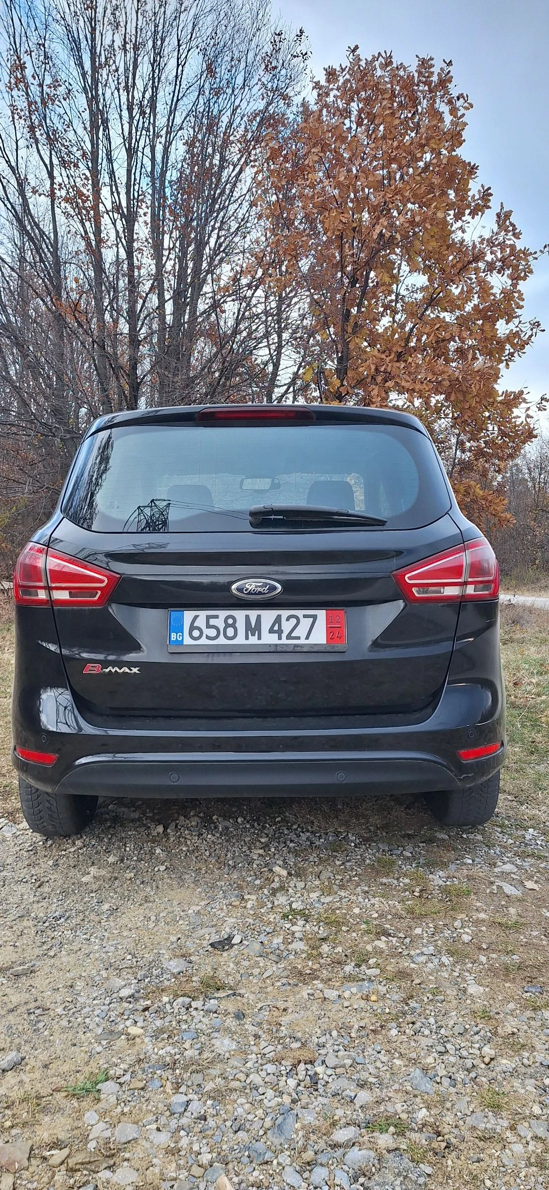 Ford B-Max 1.0 Eco Boost - изображение 3