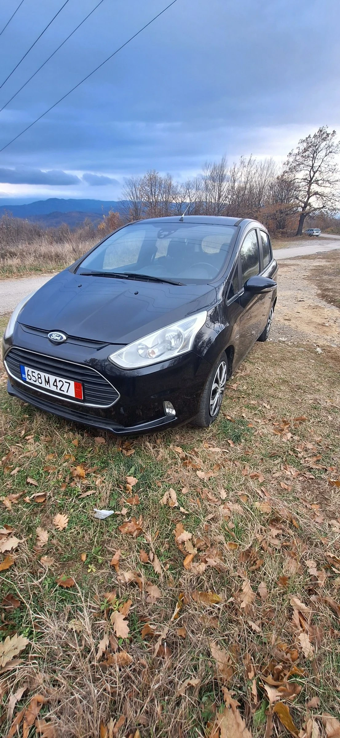 Ford B-Max 1.0 Eco Boost - изображение 2