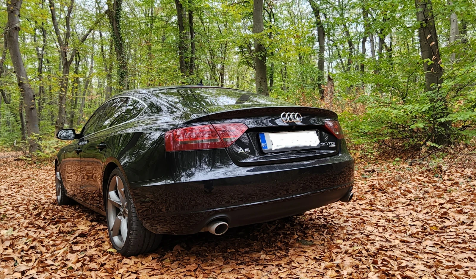 Audi A5 | Mobile.bg � ����������� 2