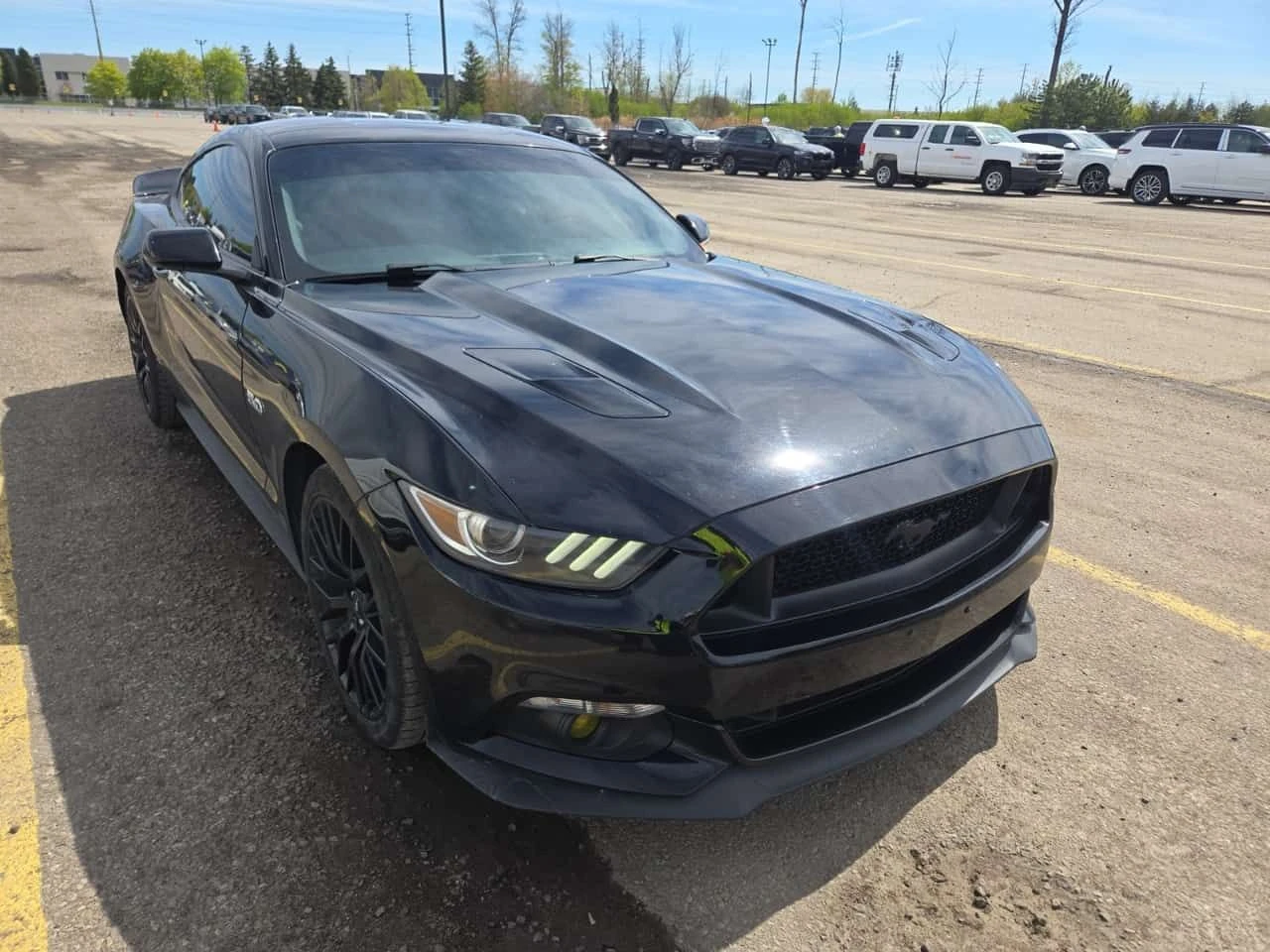 Ford Mustang * GT * ���������� ��� ������������ ������ *  | Mobile.bg � ����������� 2