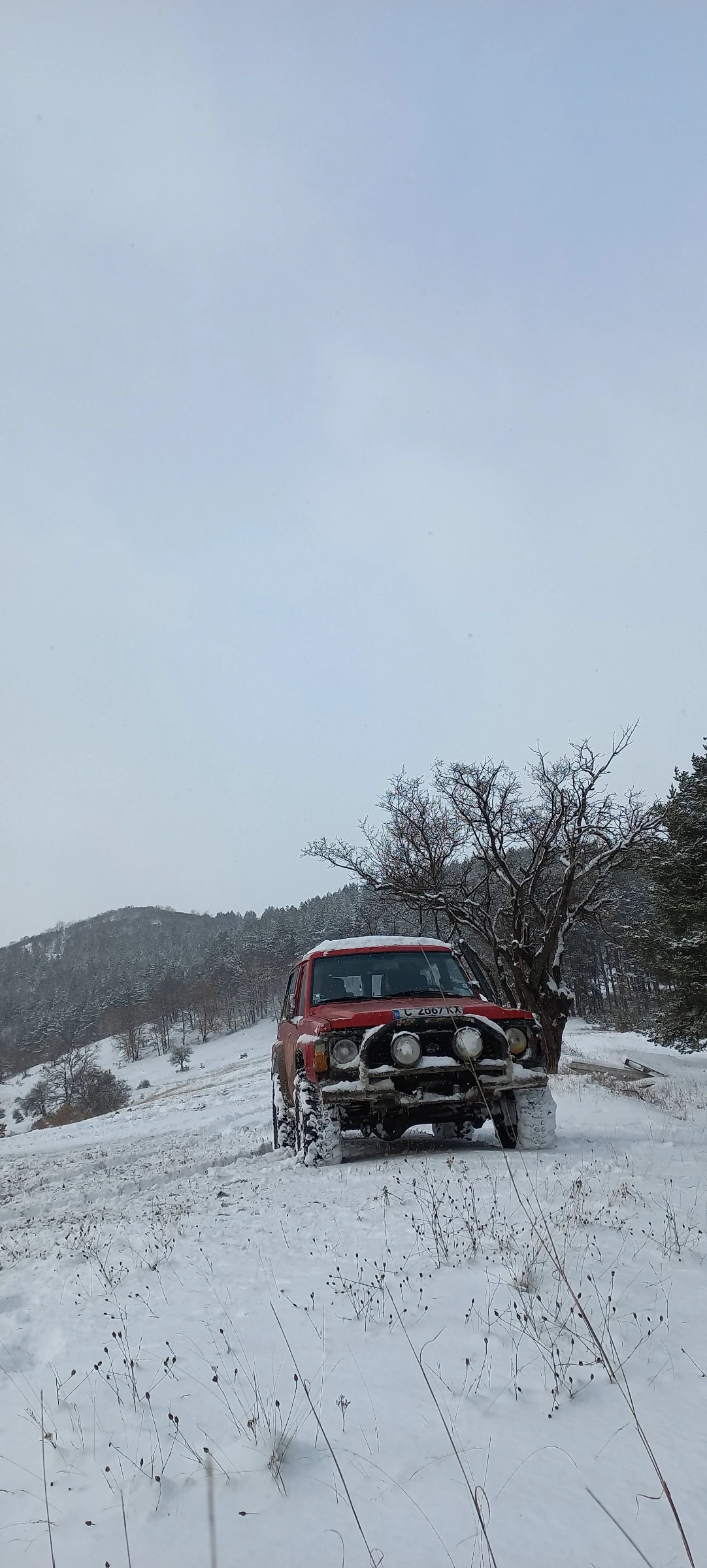 Nissan Patrol Y60 2.8D | Mobile.bg � ����������� 1