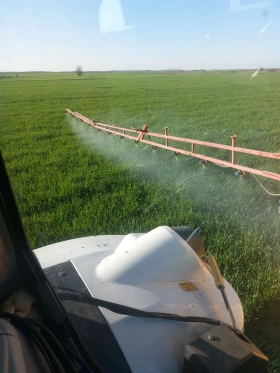 ��������� Brandi | Mobile.bg � ����� ������ 5