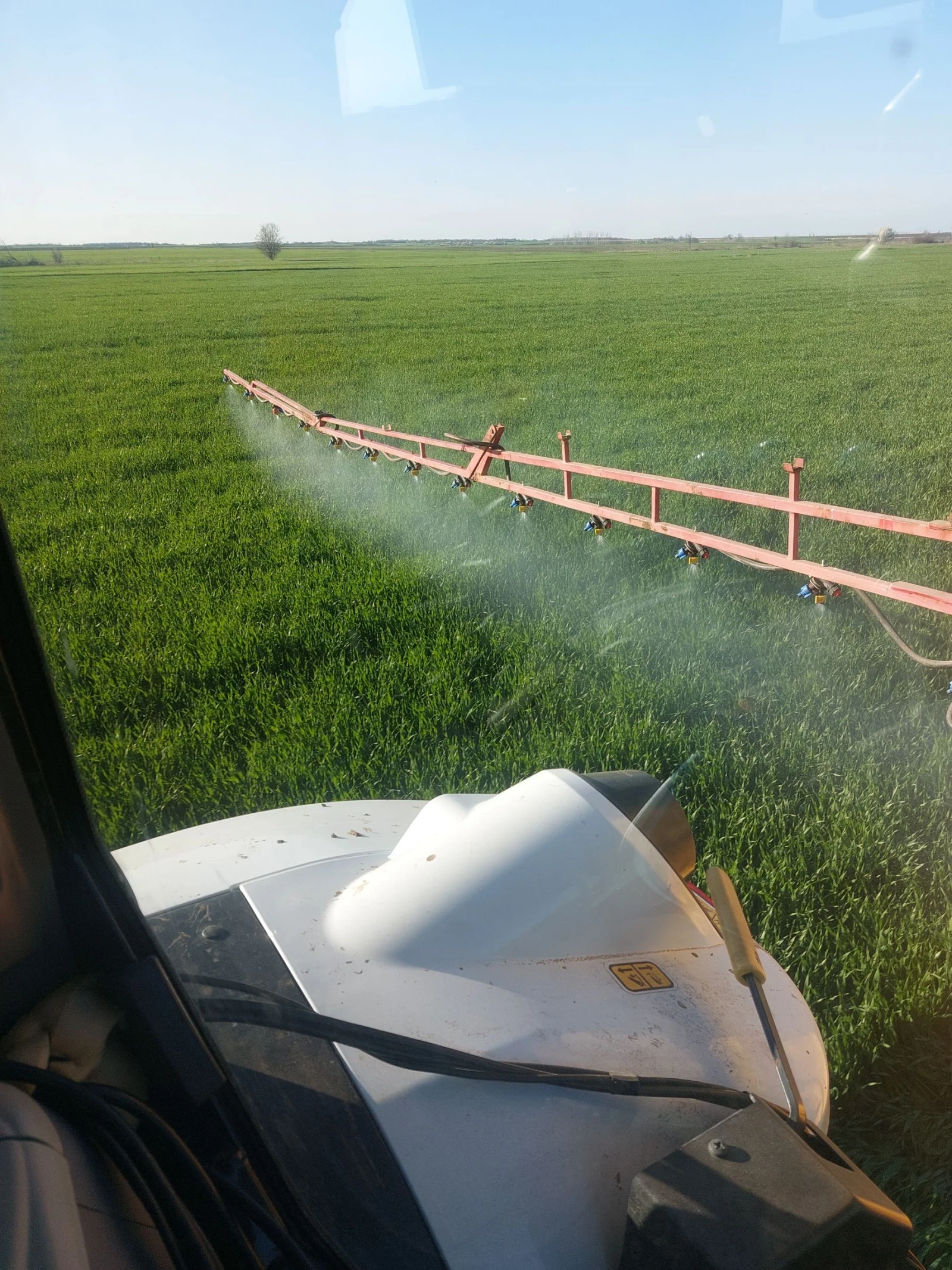 ��������� Brandi | Mobile.bg � ����������� 5