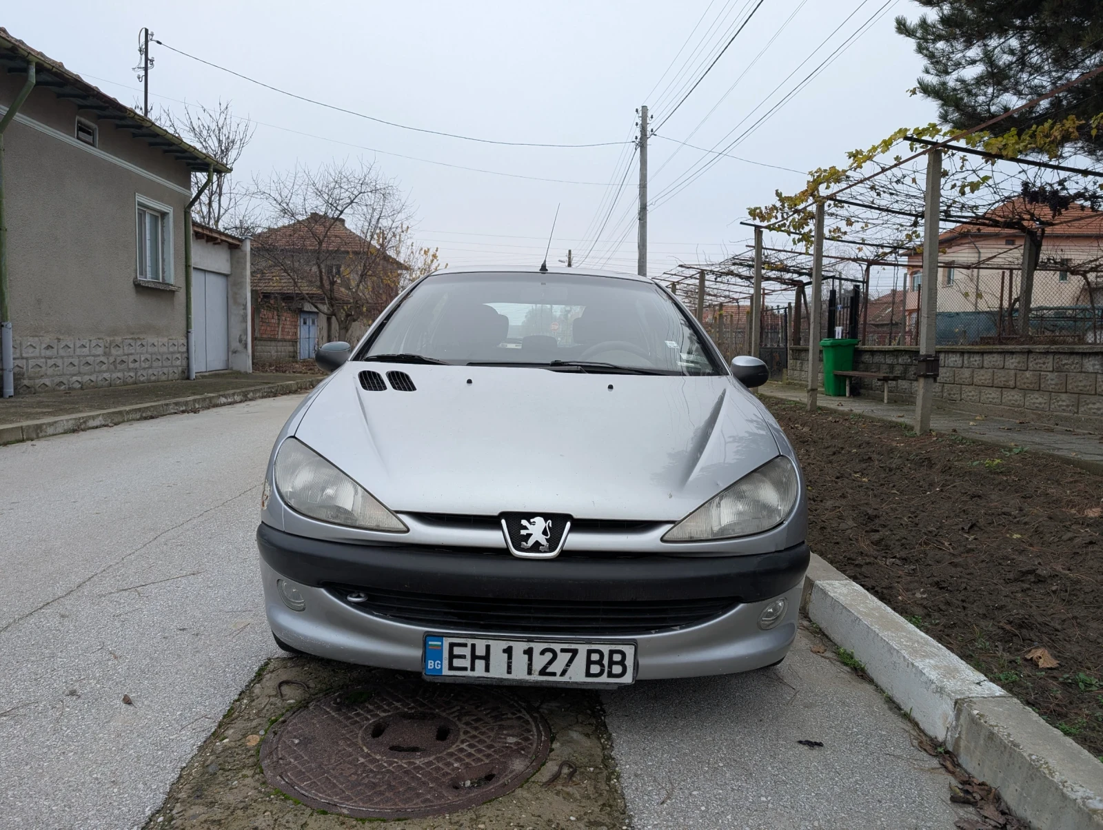 Peugeot 206, снимка 1