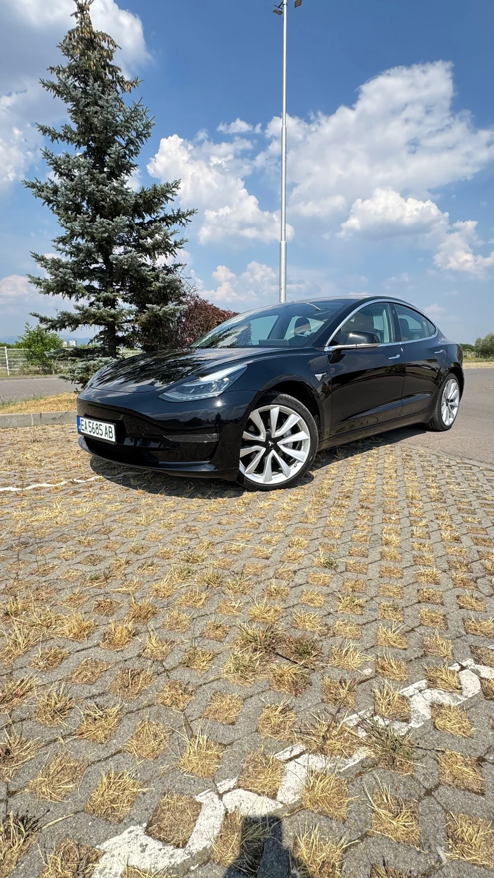 Tesla Model 3 Dual Motor Long - изображение 2