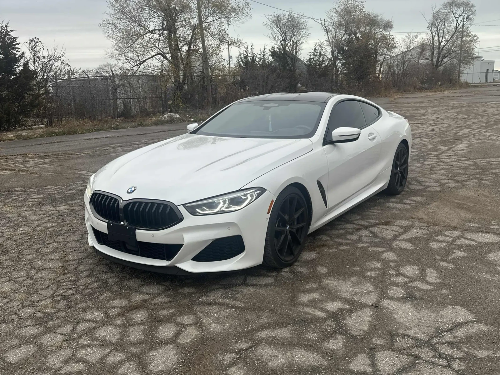BMW 850 �850 xDrive* CARFAX* ���������������*  | Mobile.bg � ����������� 1