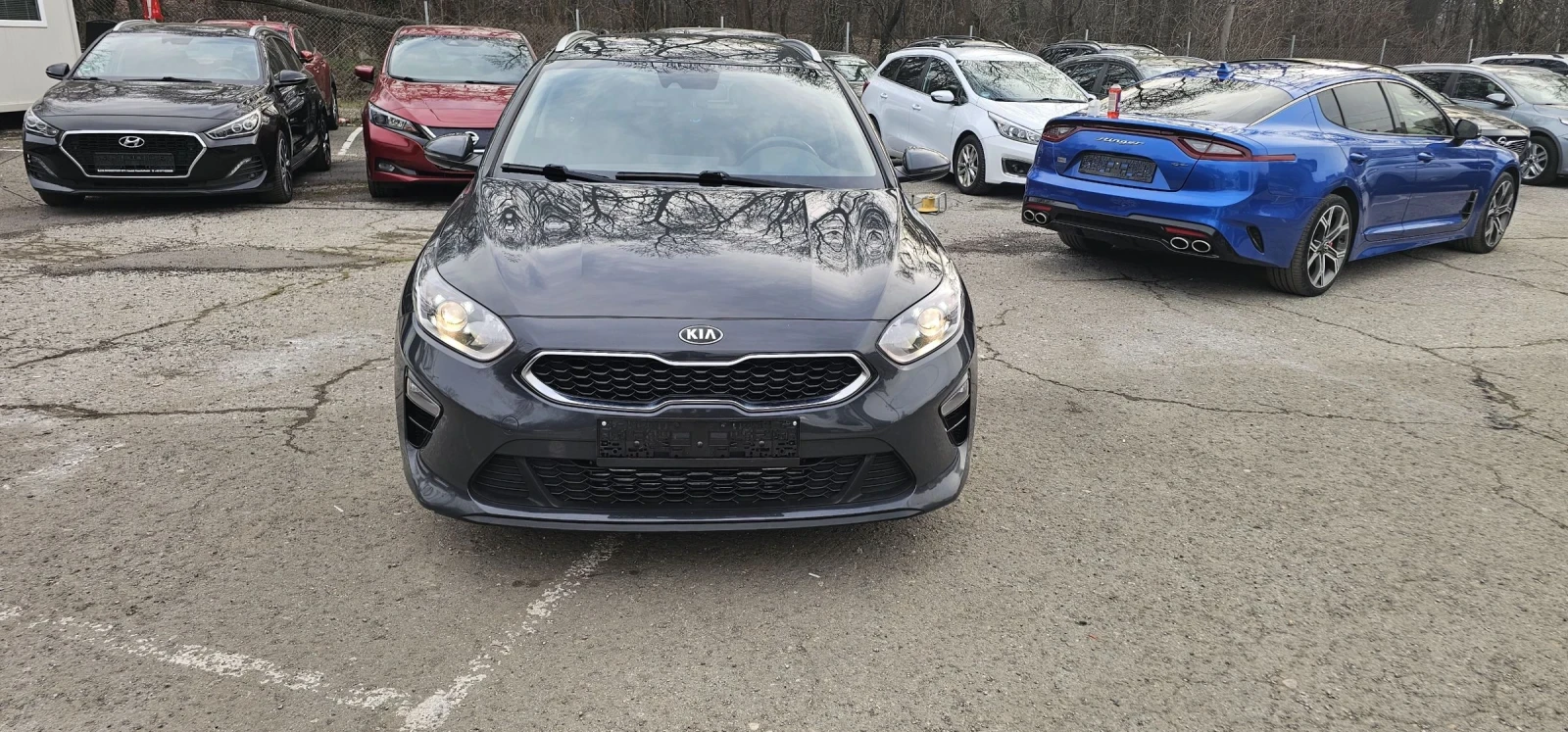 Kia Ceed 1.6 CRDI  2022 ���� ������ ��������  | Mobile.bg � ����������� 12