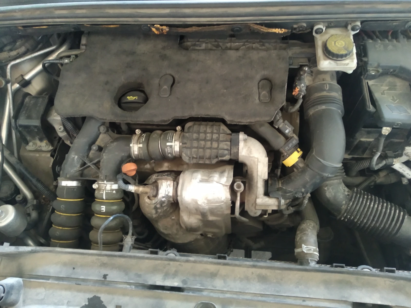 Citroen C4 1.6HDI / 1 ������. / N1 ����. | Mobile.bg � ����������� 17