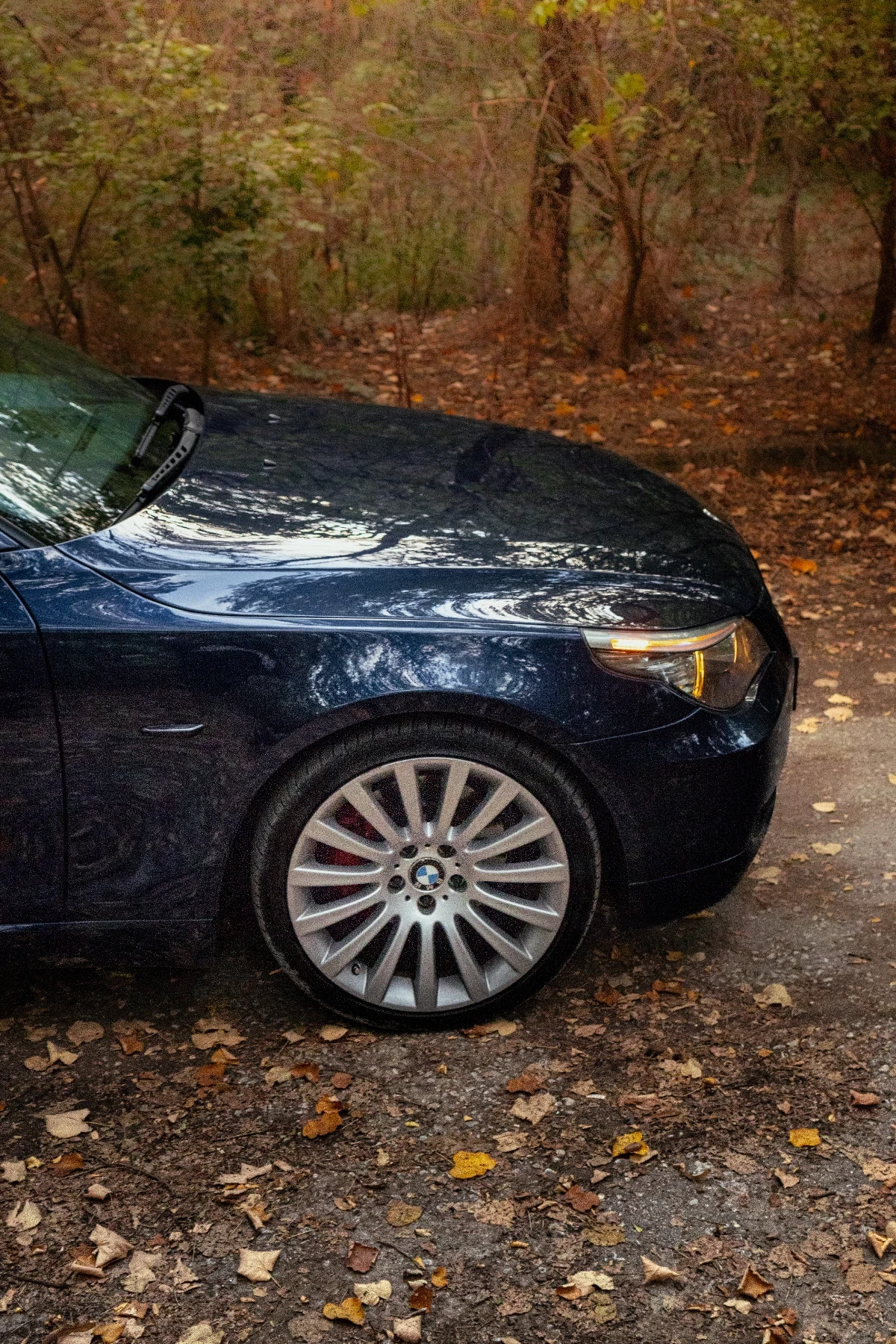 BMW 530 SAT     | Mobile.bg   5