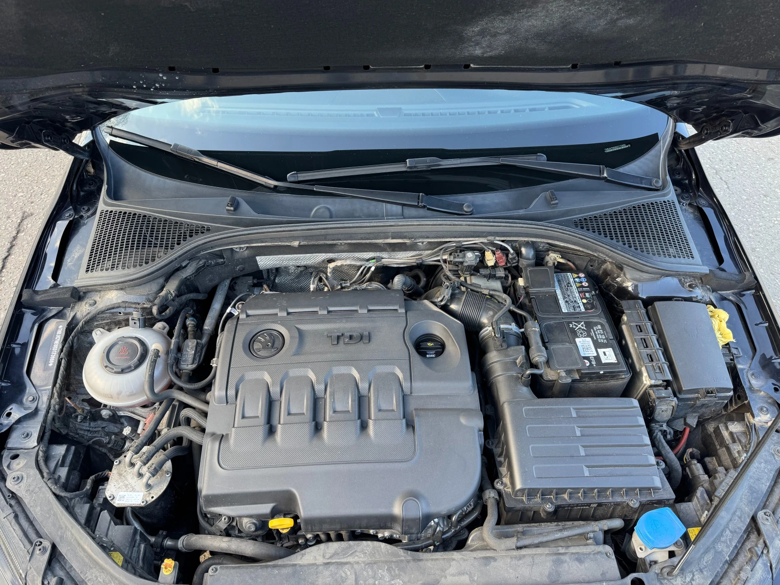 Skoda Octavia vRS - изображение 4