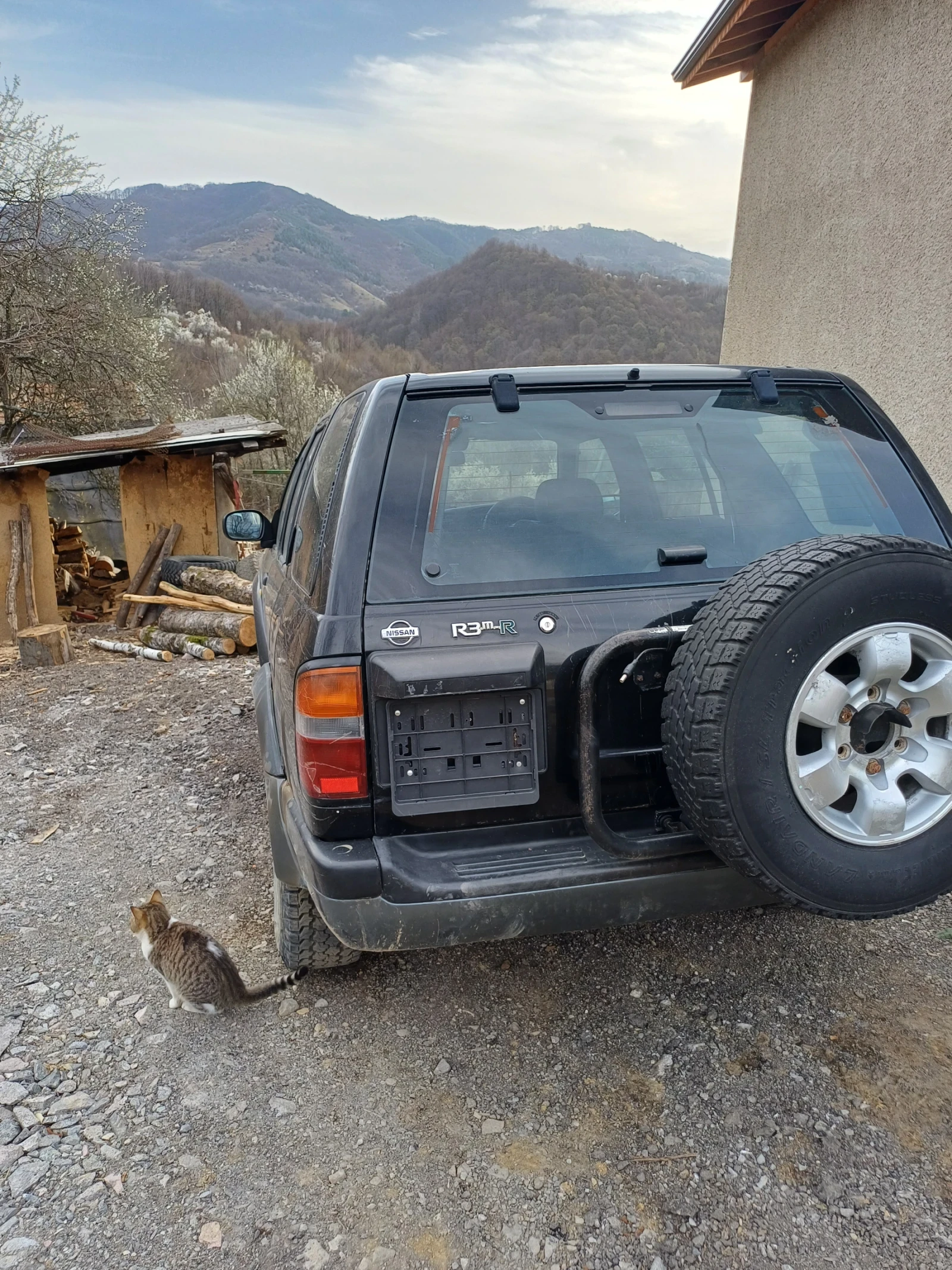 Nissan Terrano 2, 700 - изображение 3