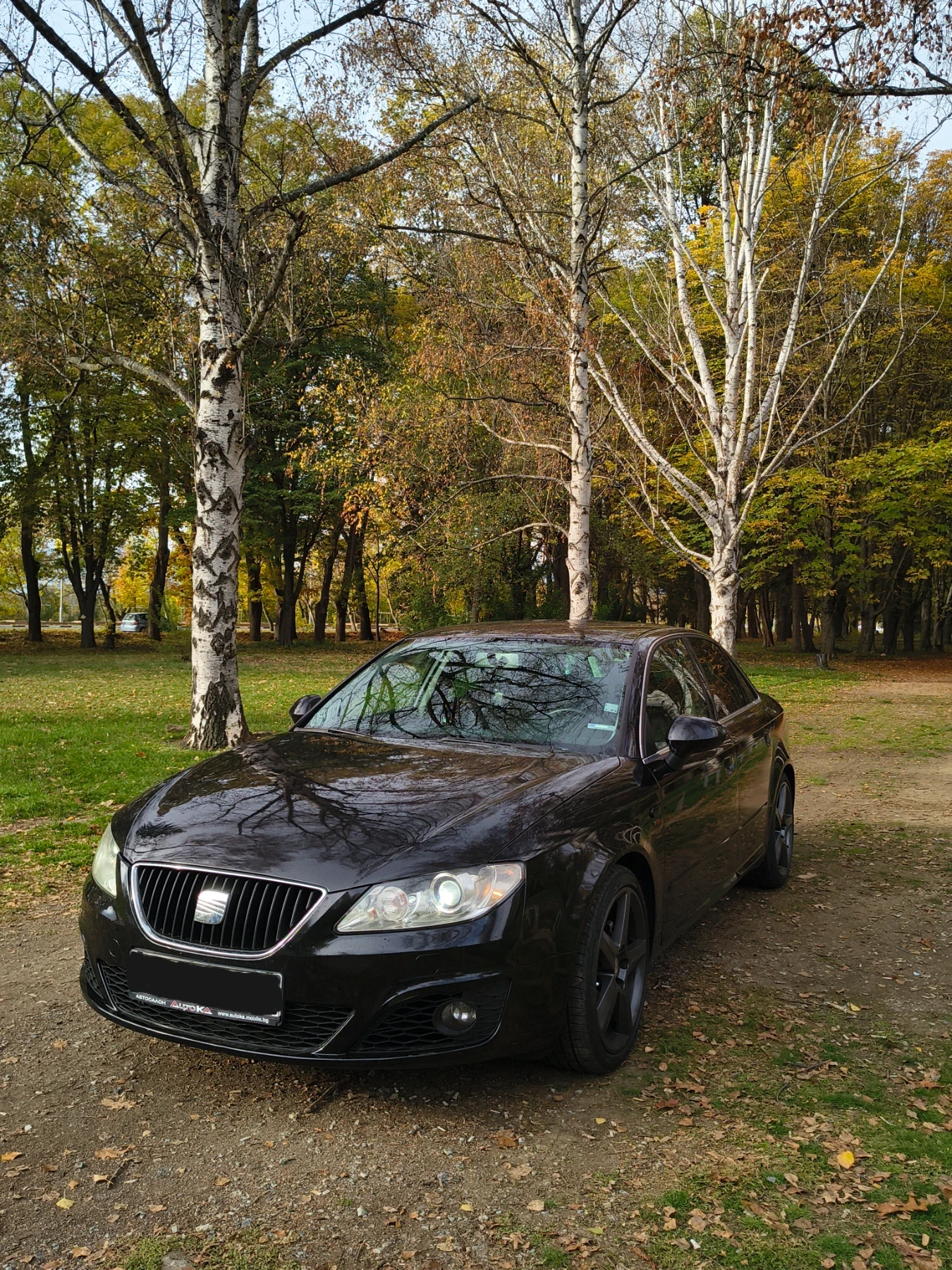 Seat Exeo | Mobile.bg   1