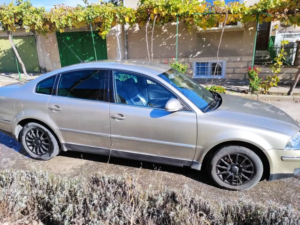 VW Passat 5.5 - изображение 8