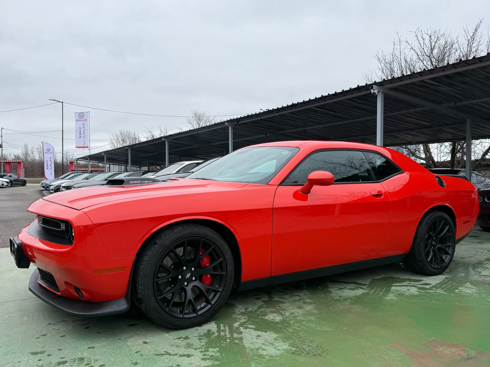 Dodge Challenger 6.4 SHAKER HOOD | Mobile.bg � ����������� 1