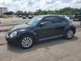  VW Beetle