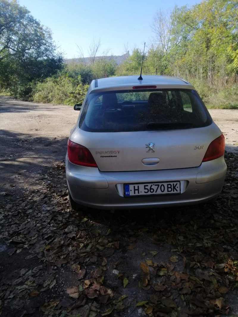 Peugeot 307, снимка 2 - Автомобили и джипове - 52532043