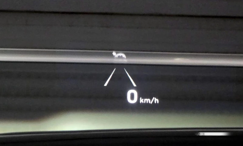 Hyundai Palisade Diesel 2.2 2WD Prestige, снимка 15 - Автомобили и джипове - 52059082