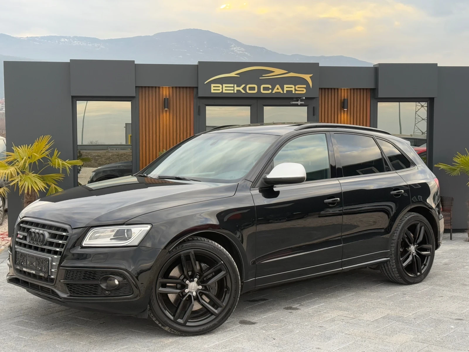 Audi SQ5 313коня///Carbon///Top - изображение 8