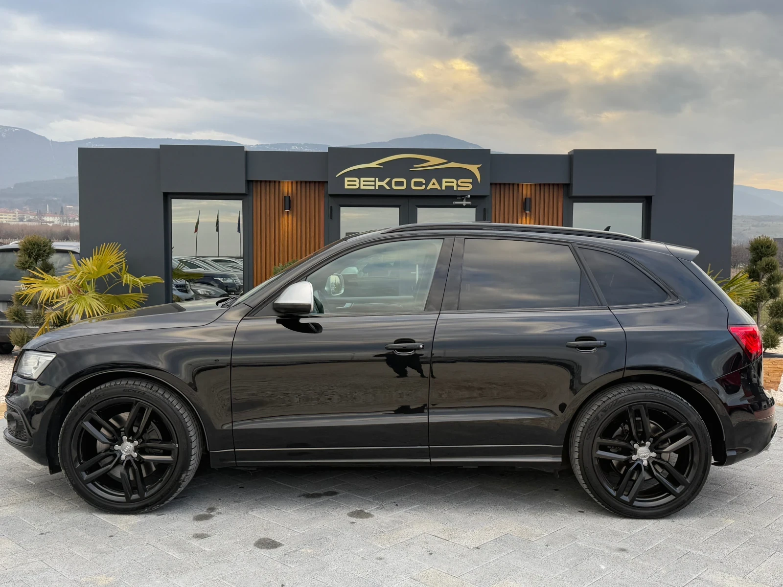 Audi SQ5 313коня///Carbon///Top - изображение 7