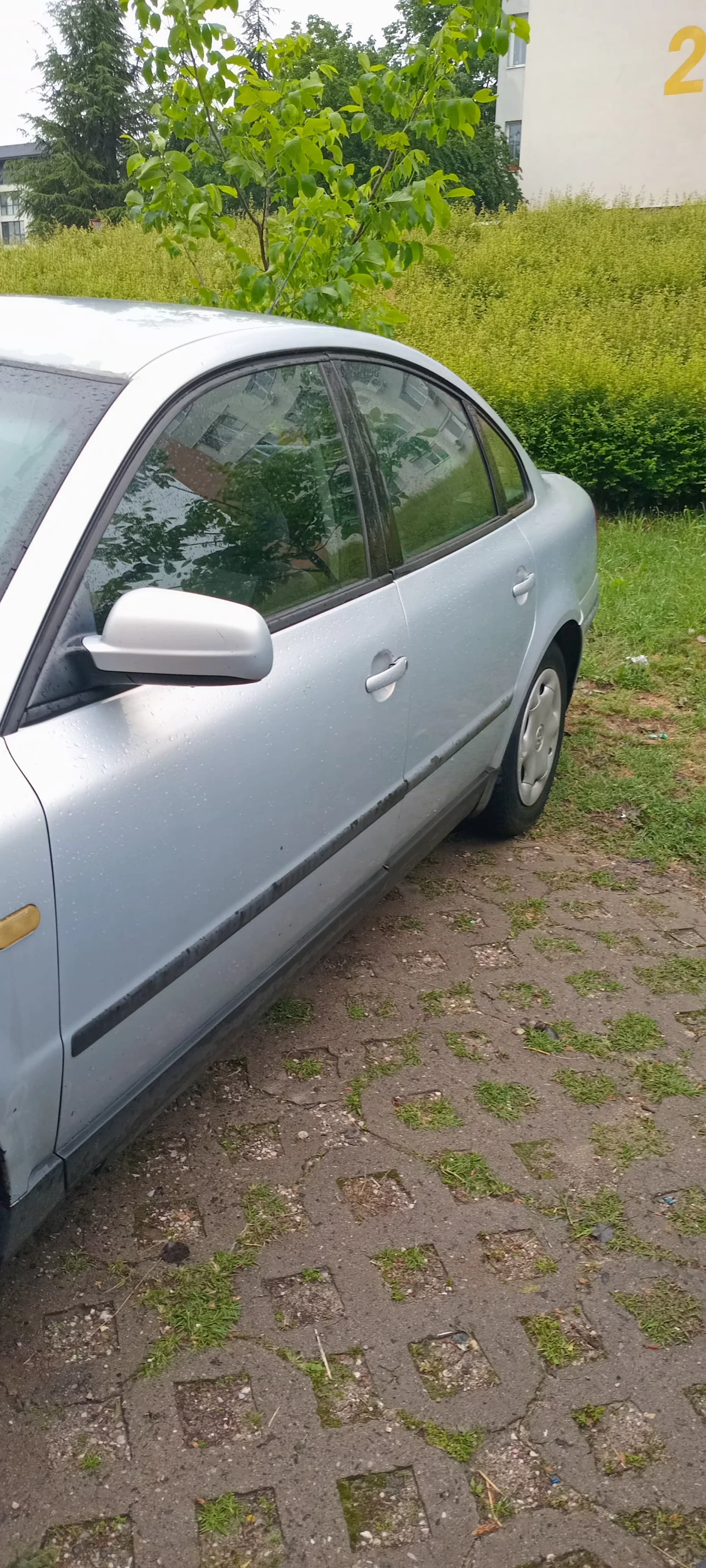 VW Passat  - изображение 4