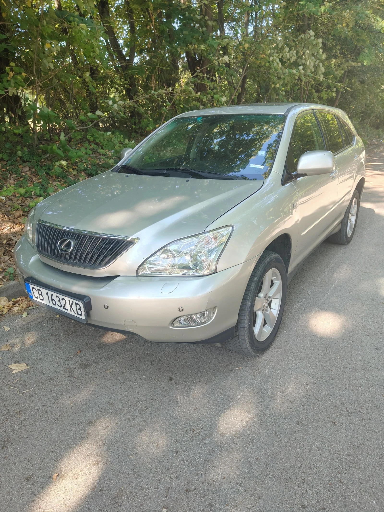 Lexus RX 300 Пружини/ газ, снимка 1