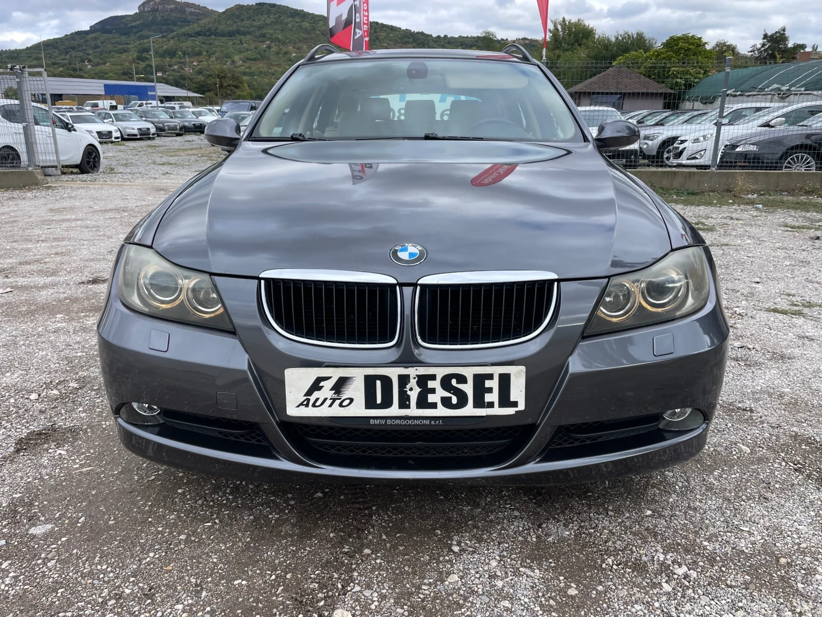 BMW 320 2.0TDI-163-PANO-NAVI-ITALIA - изображение 2