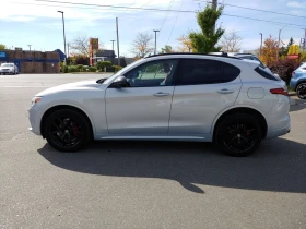 Alfa Romeo Stelvio * CARFAX * ЦЕНА ДО БГ, снимка 5