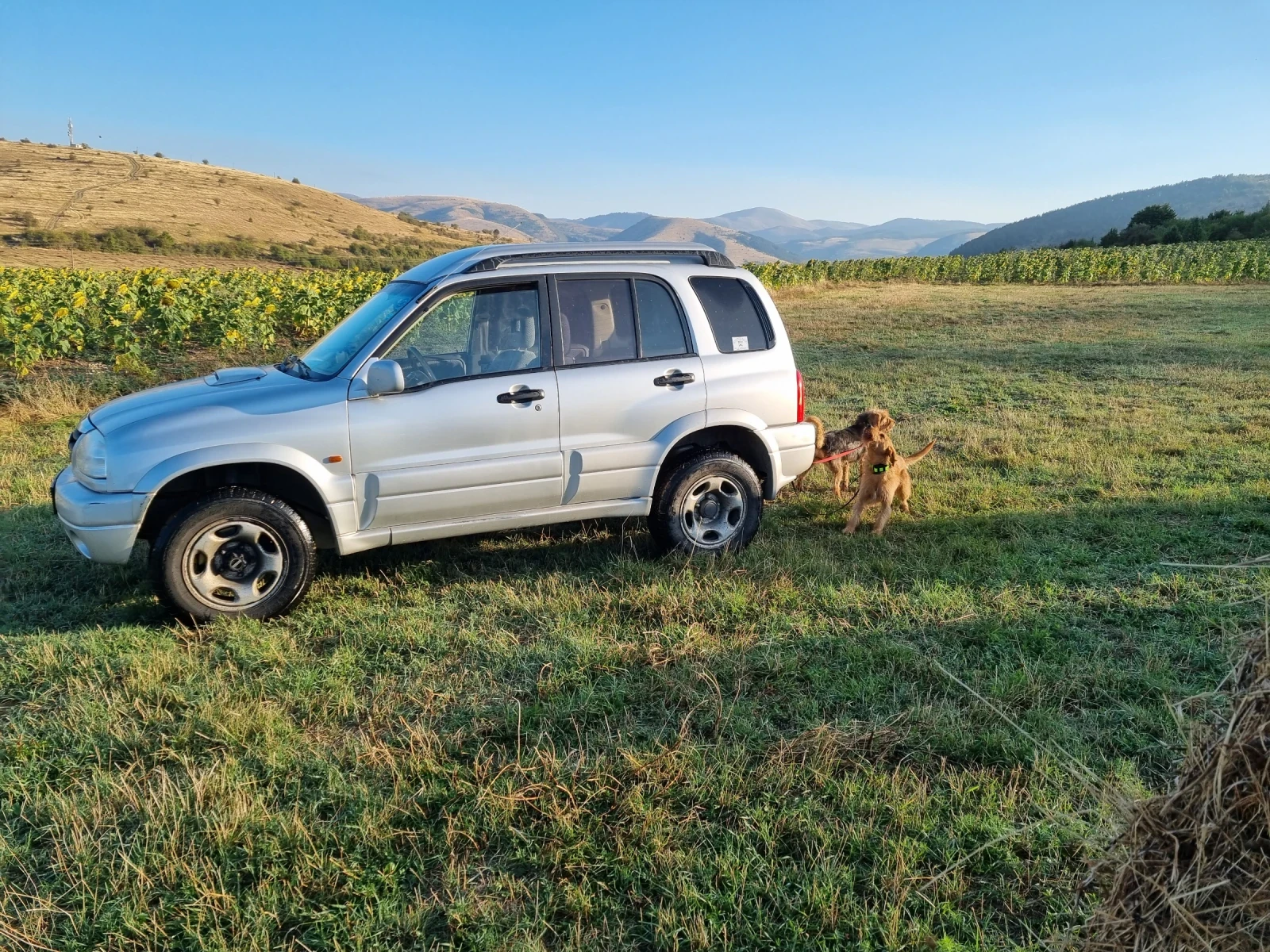 Suzuki Grand vitara