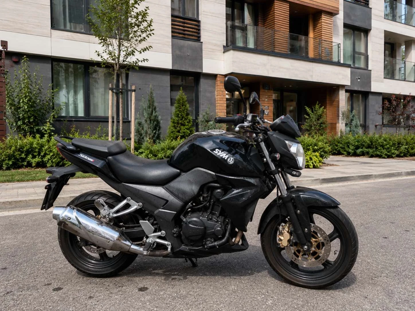 Sym Wolf 250