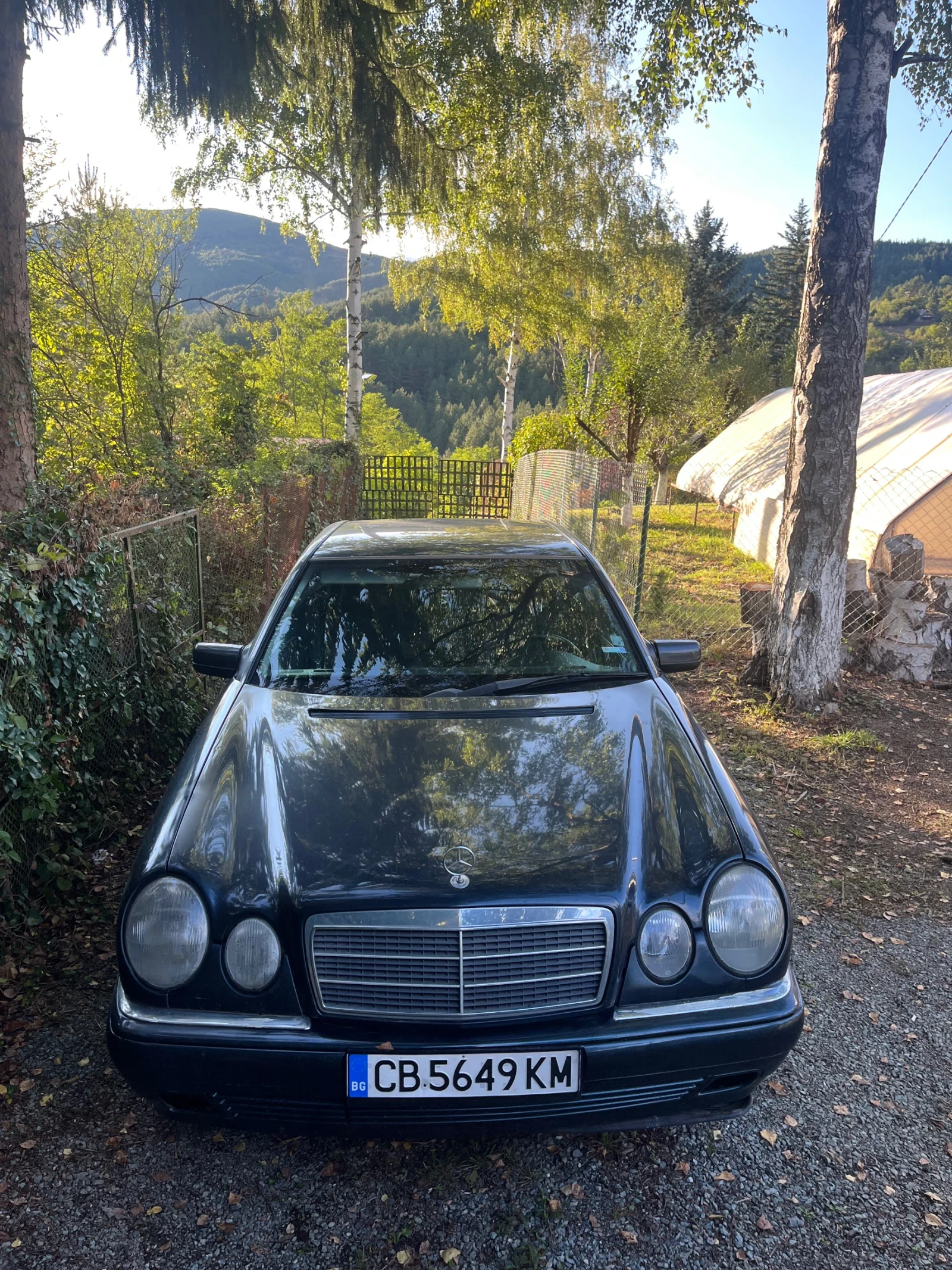 Mercedes-Benz 250  - изображение 2