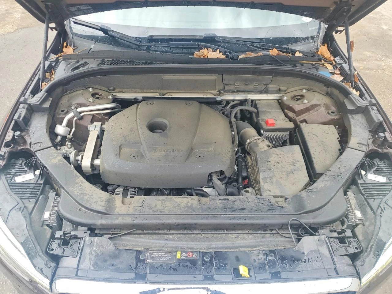 Volvo XC60 T5* PANORAMA* MEMORY* KEYLESS* �������*  | Mobile.bg � ����������� 12