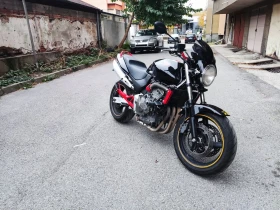     Honda Hornet