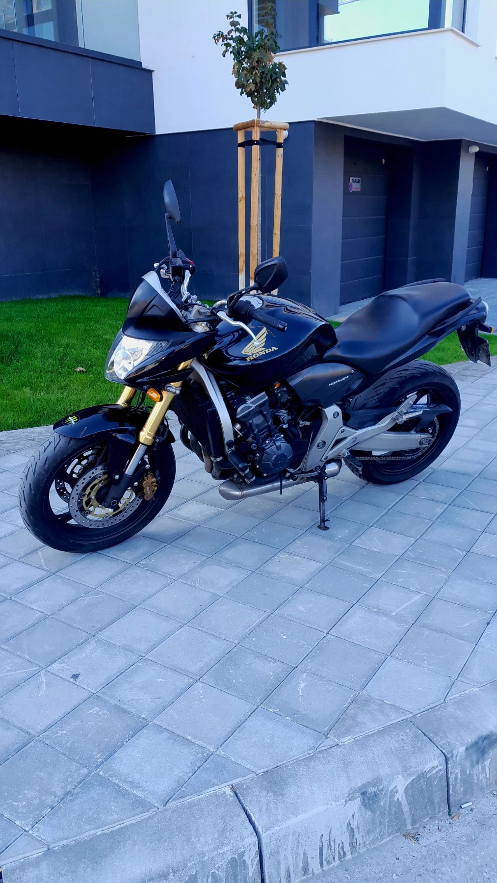 Honda Hornet Cb600i
