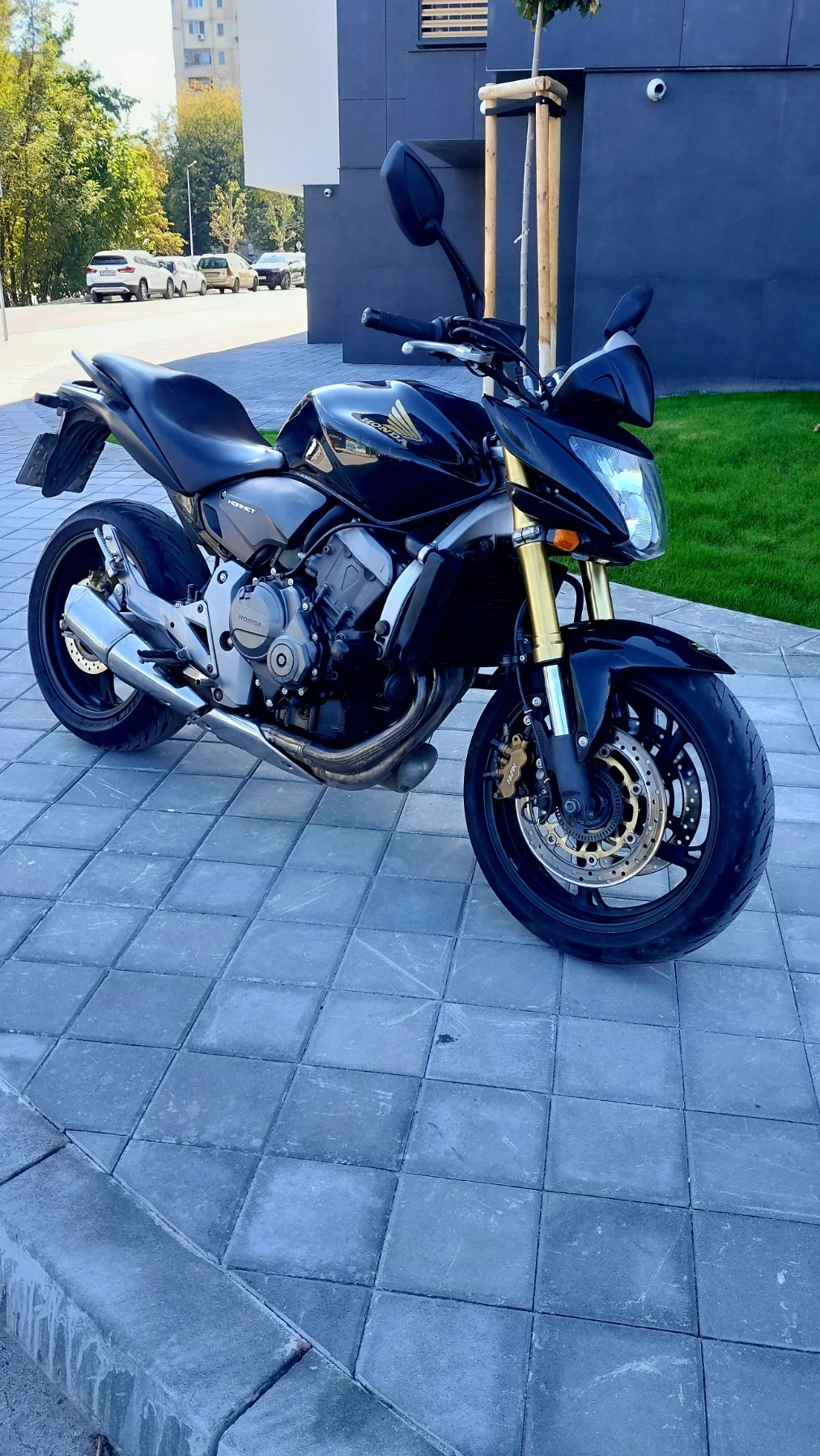 Honda Hornet Cb600i, снимка 5 - Мотоциклети и мототехника - 56439628