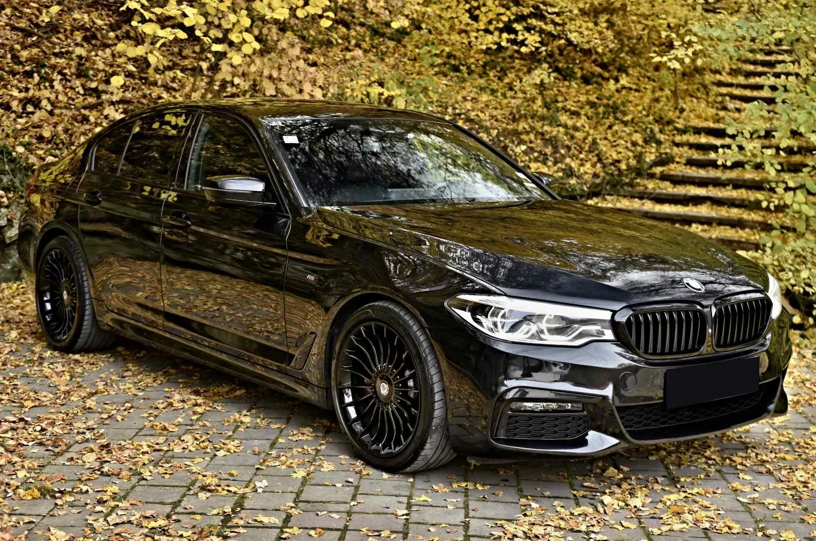 BMW 540 D/X-DRIVE/M-PACK/SHADOW LINE/DISTRONIC/KAMERA 360 - изображение 3