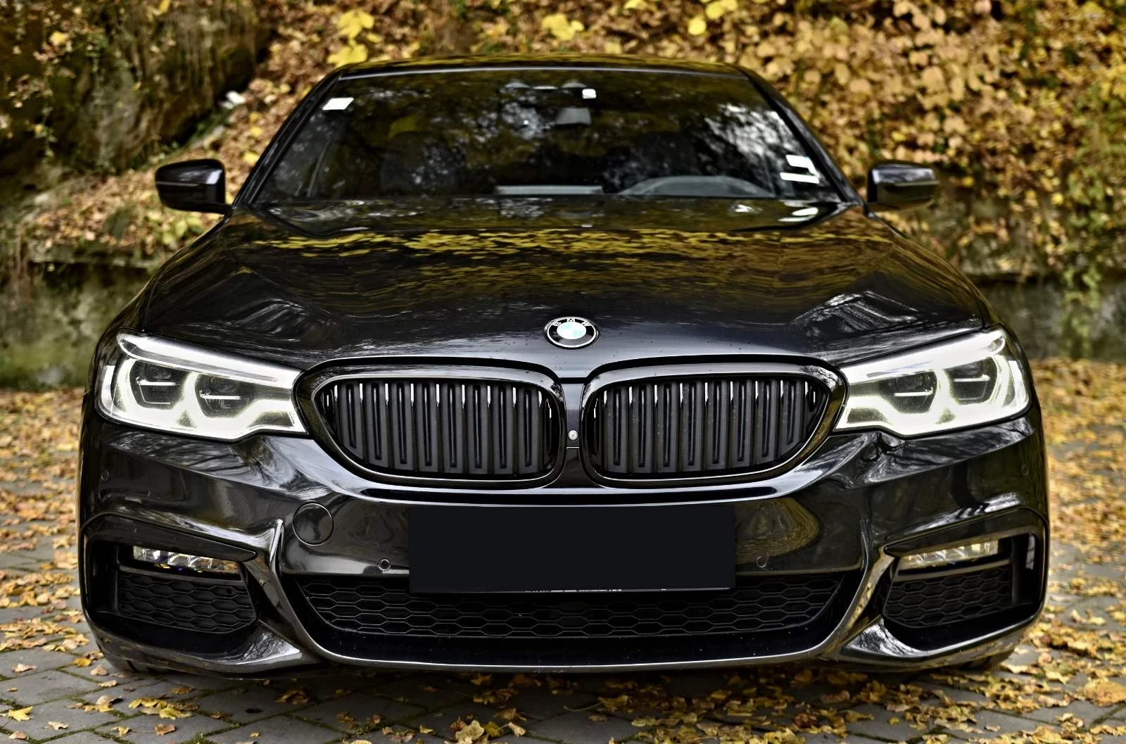 BMW 540 D/X-DRIVE/M-PACK/SHADOW LINE/DISTRONIC/KAMERA 360 - изображение 2