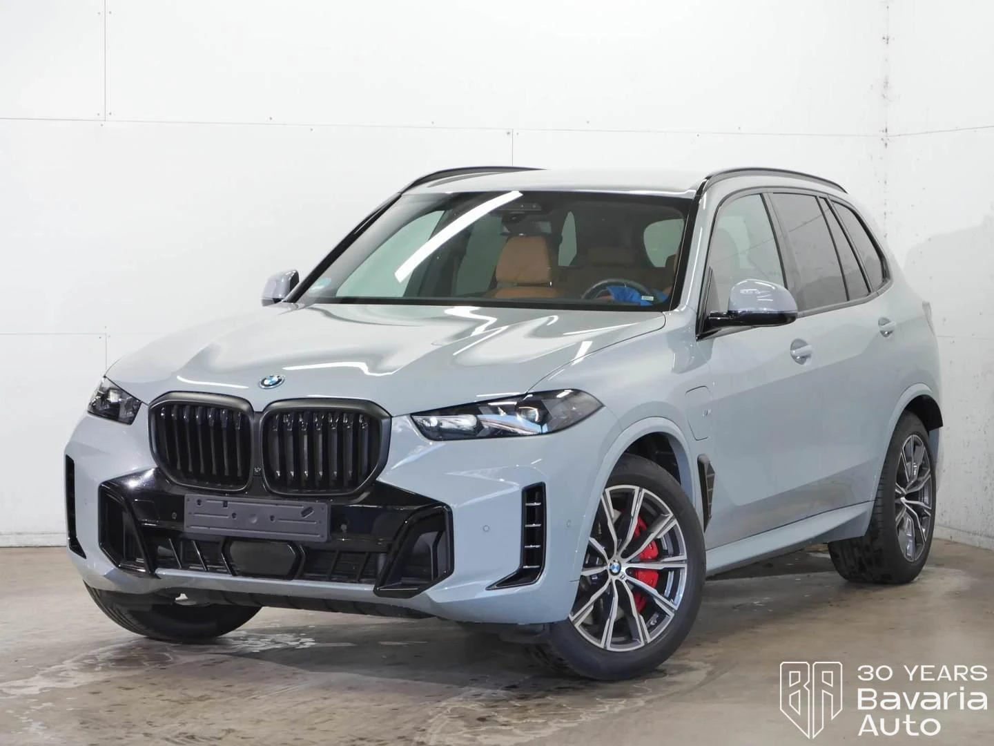 BMW X5 50e xDrive Sportautomatic