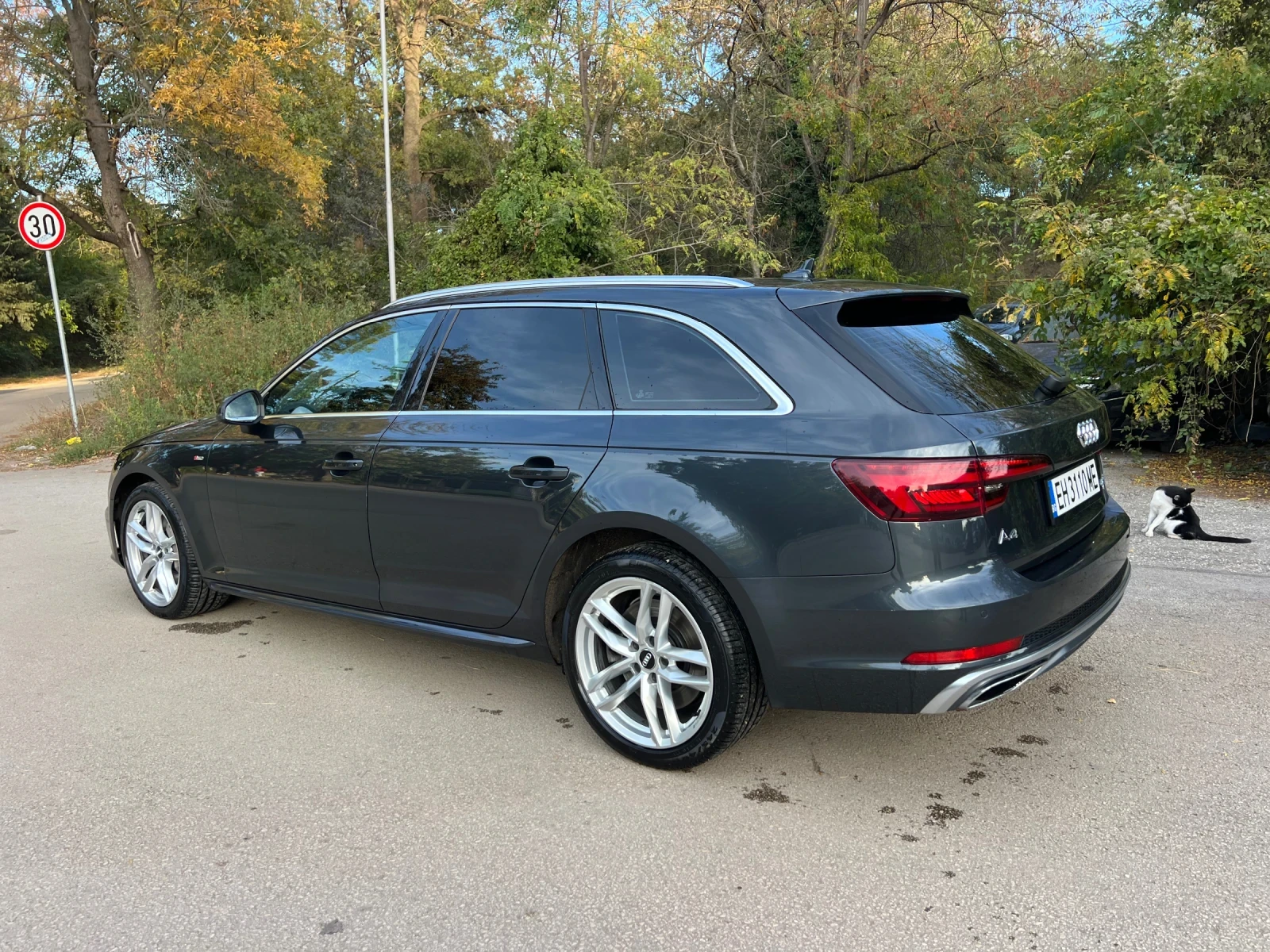 Audi A4 4.5 TDI S-LINE QUATTRO | Mobile.bg � ����������� 8
