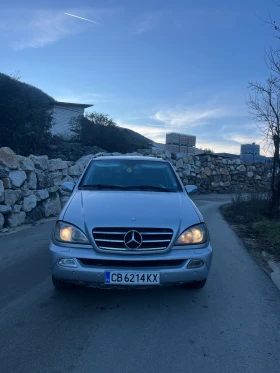 Mercedes-Benz ML 270, снимка 2