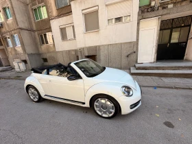 VW Beetle