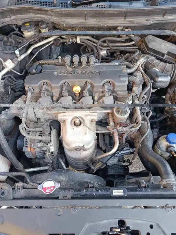 Honda Accord  - изображение 4