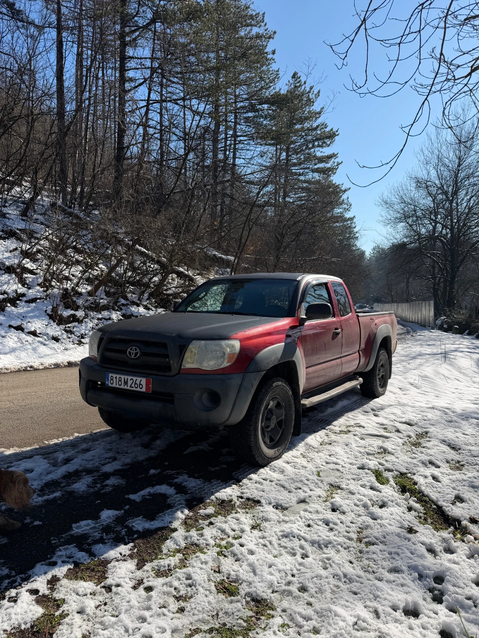 Toyota Tacoma Access Cab