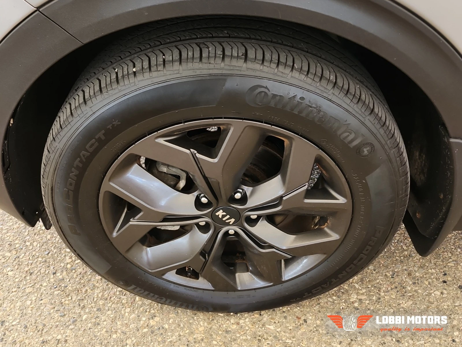 Kia Sportage, снимка 6 - Автомобили и джипове - 55928912