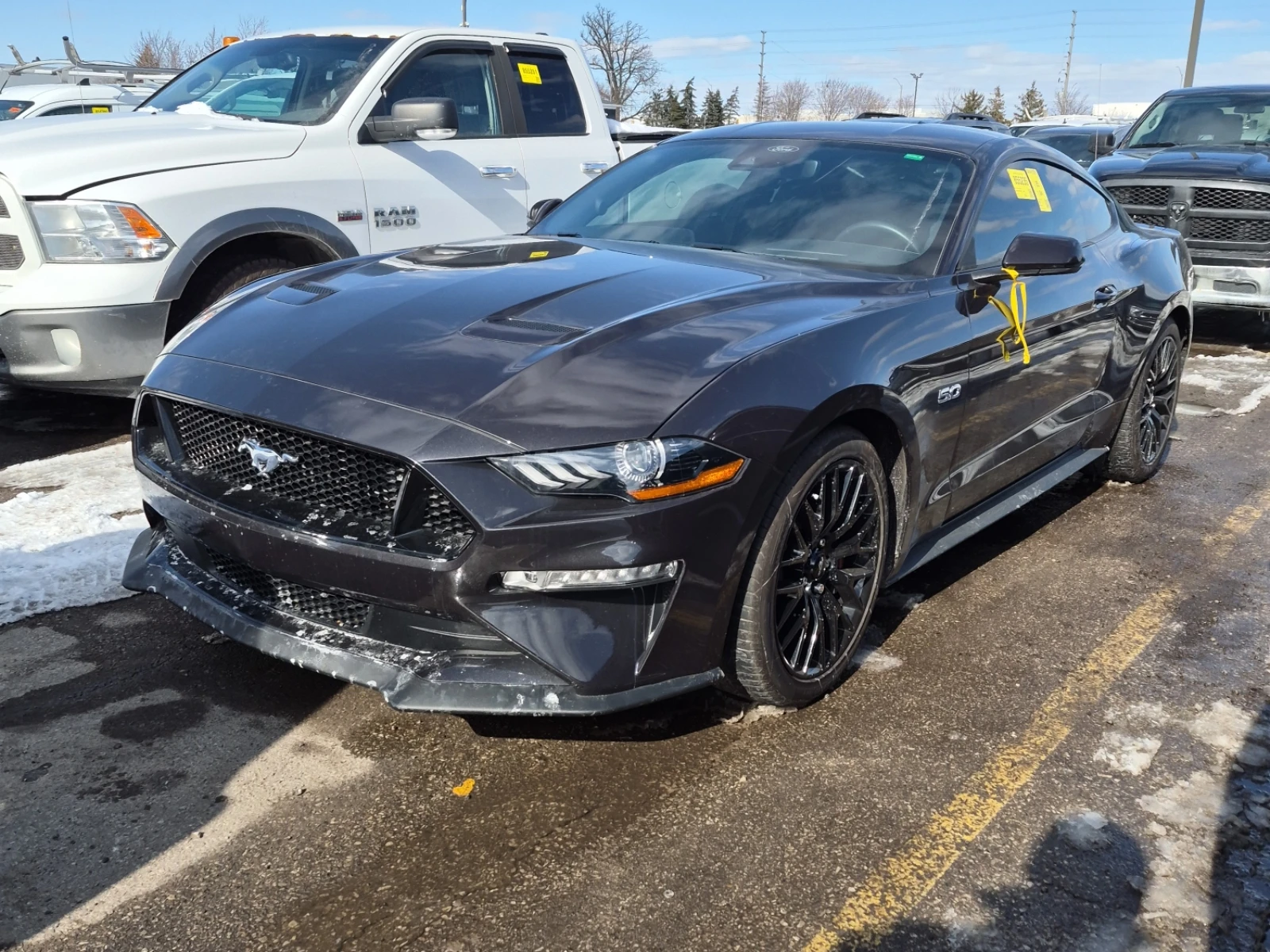 Ford Mustang GT PREMIUM