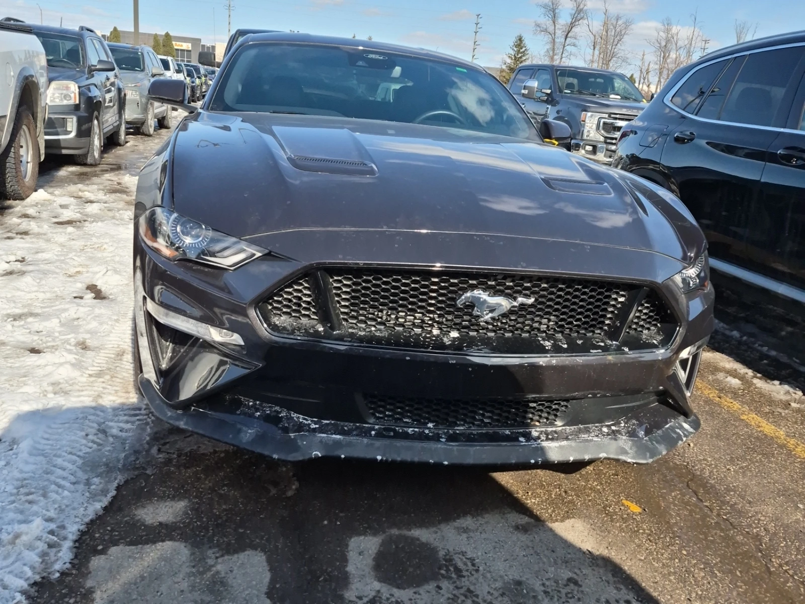 Ford Mustang GT PREMIUM - изображение 6