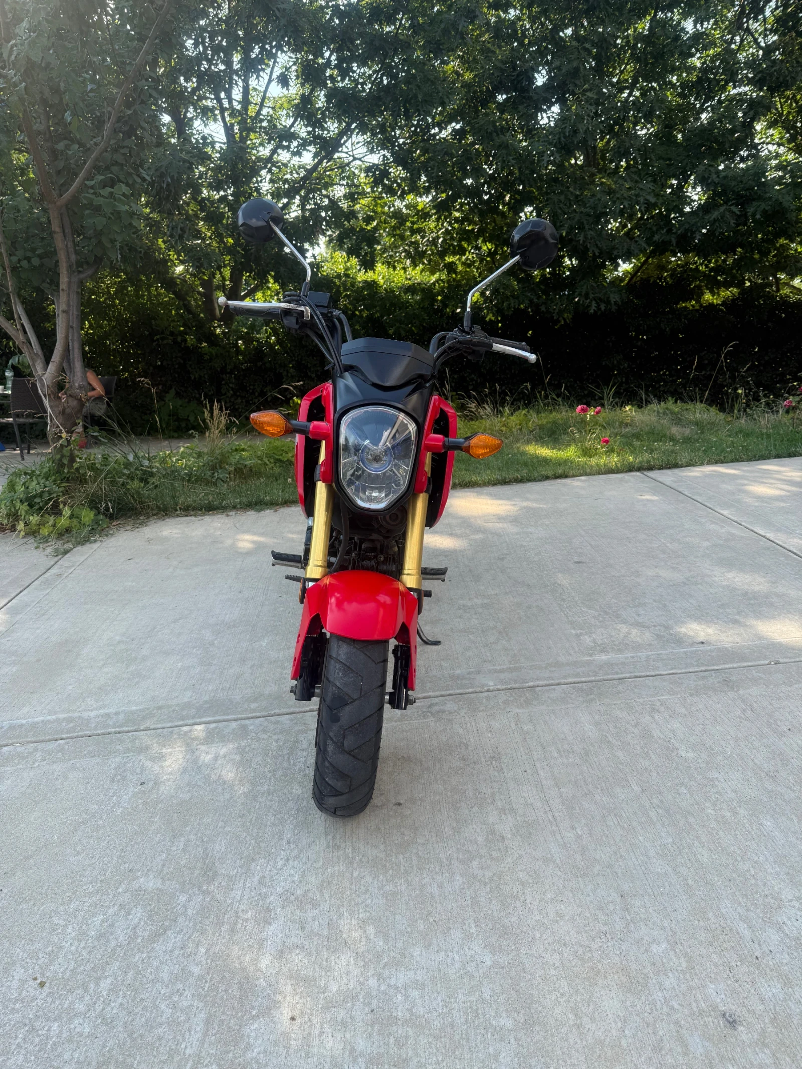 Honda Monkey  - изображение 3