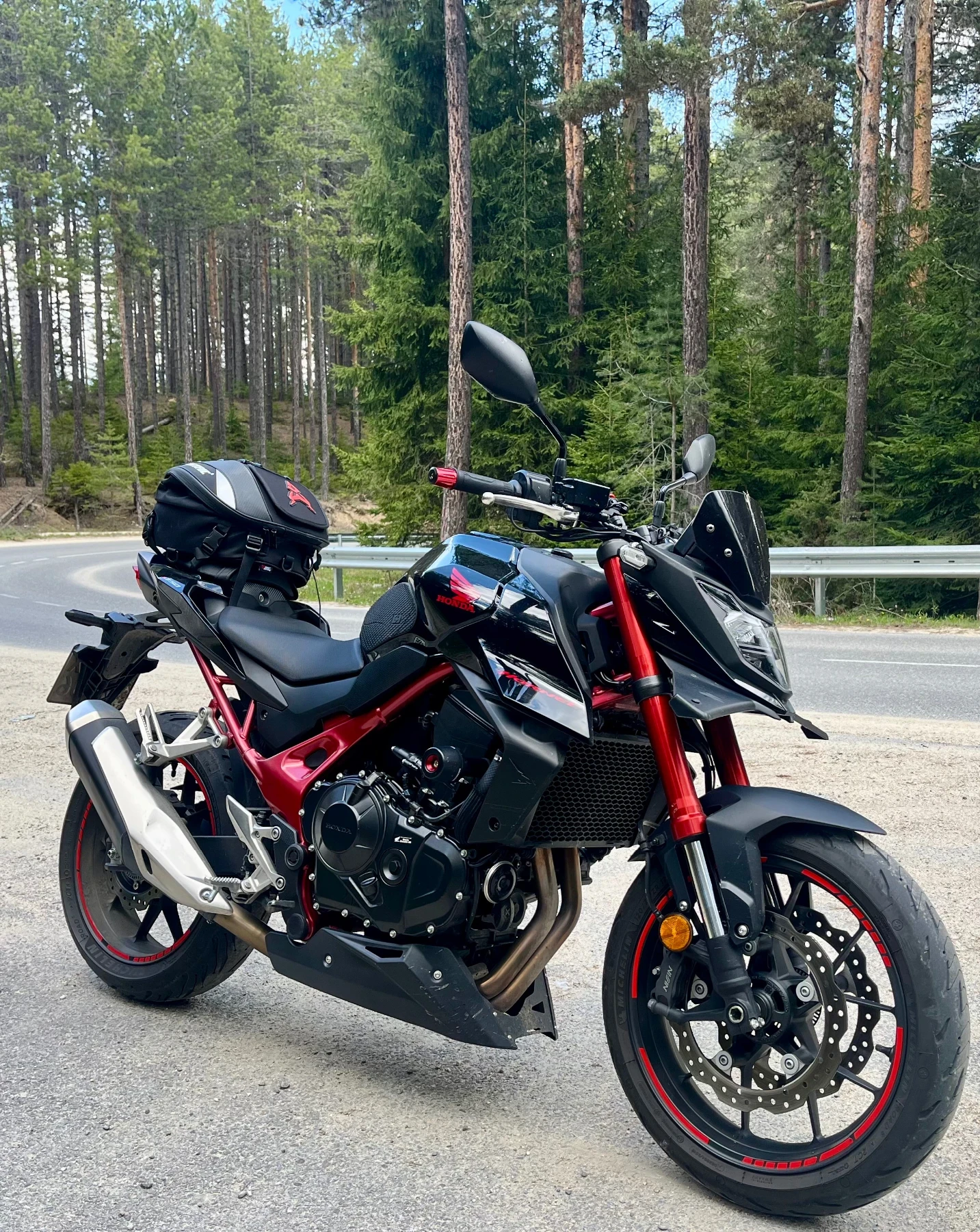 Honda Hornet