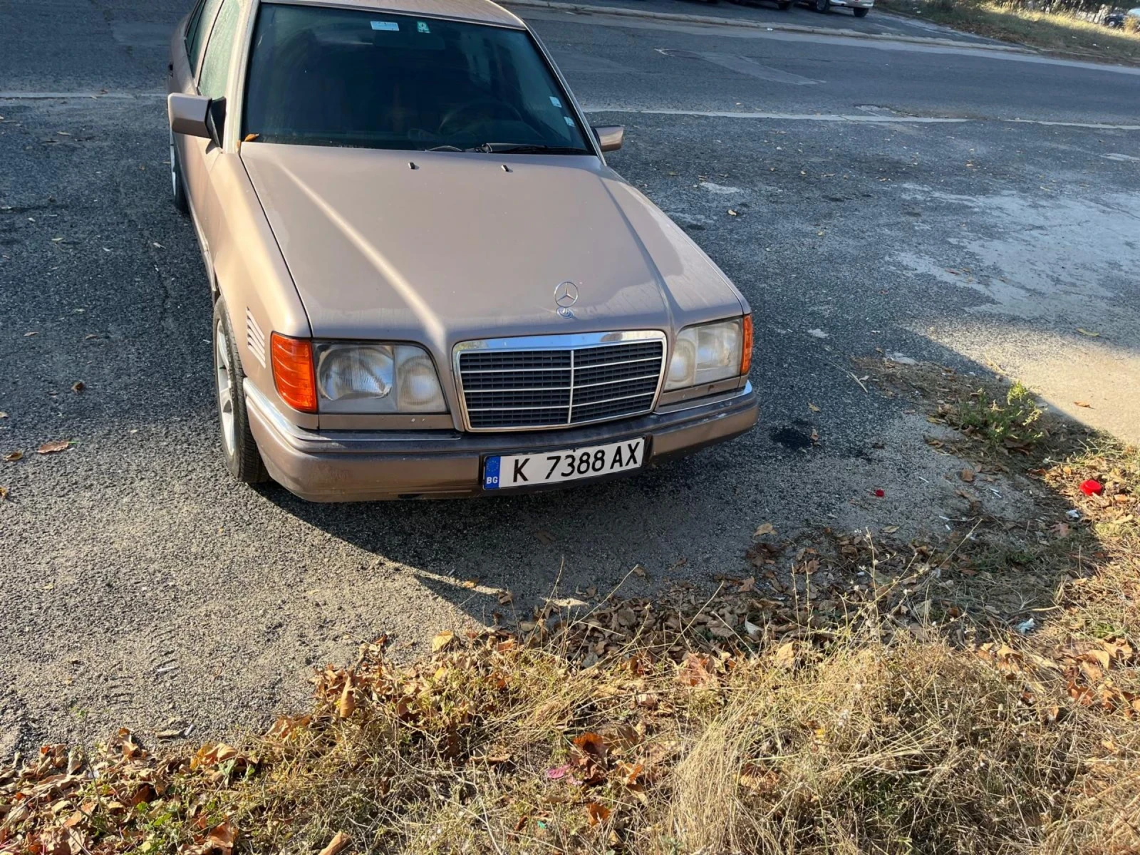 Mercedes-Benz E 250 W124, снимка 1