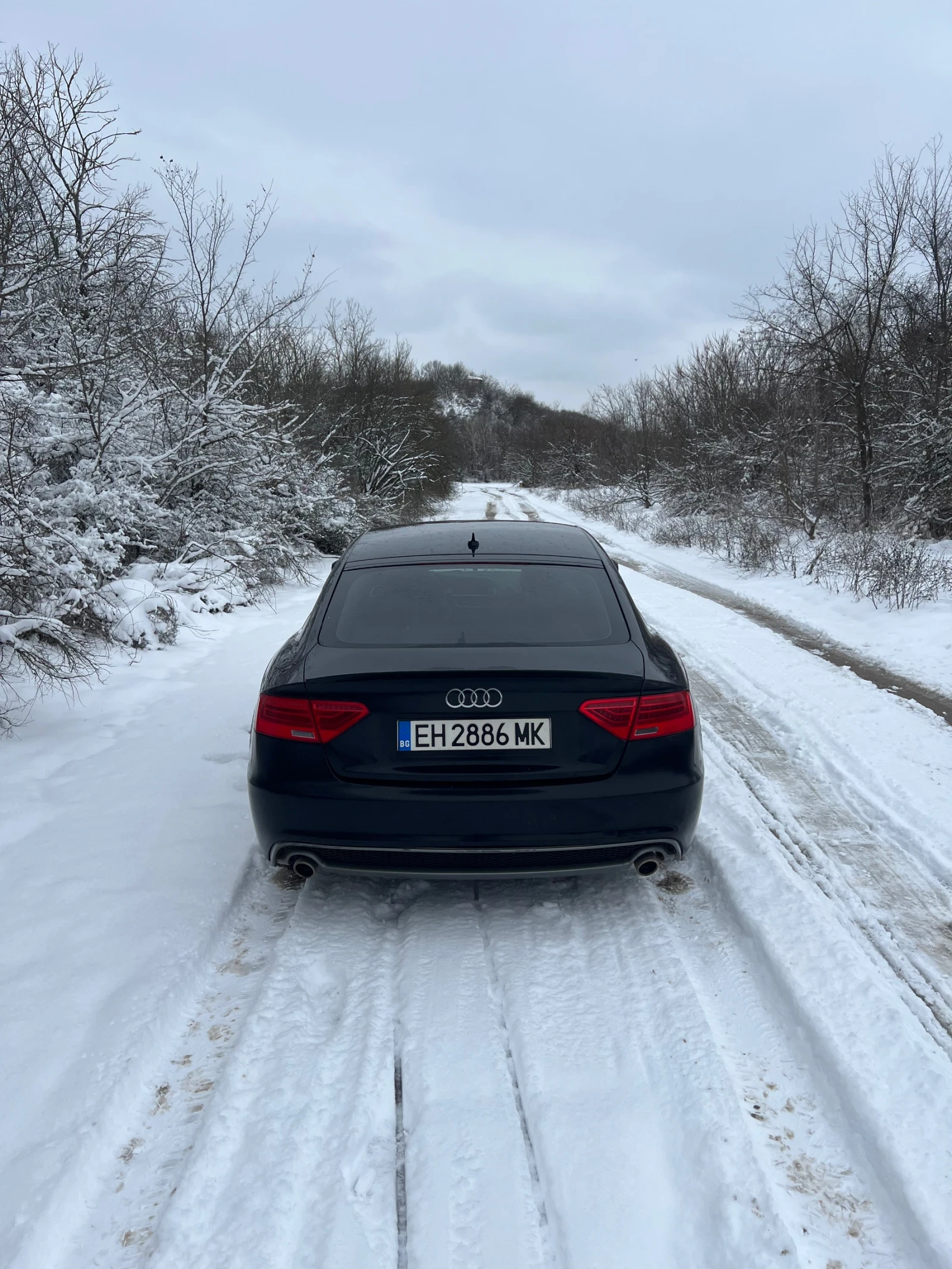 Audi A5 3.0  - изображение 5